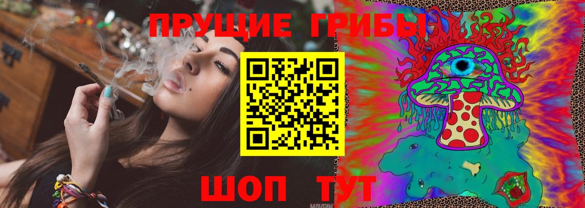 Псилоцибиновые грибы Psilocybe Краснокаменск